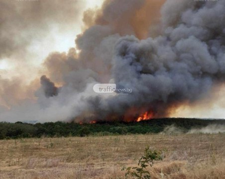 Два пожара пламнаха в Старозагорско