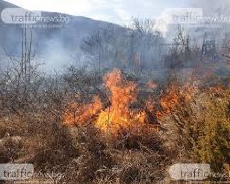 Голям пожар гори над пернишкото село Расник