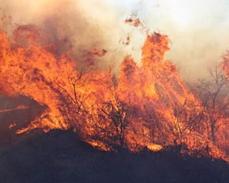 Извънредно положение в Пирот и Цариброд заради пожарите