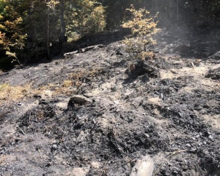 Пожар пламна в района на варненско село