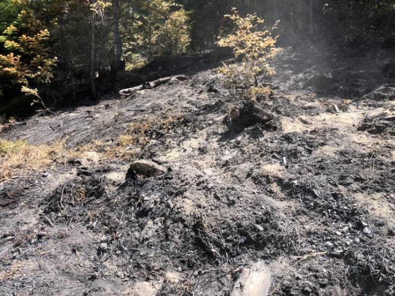 Пожар пламна в района на варненско село