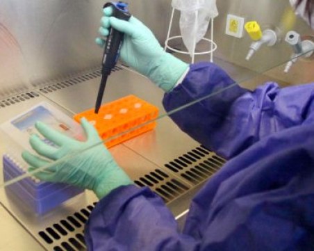 Обсъждат извънредни мерки в София заради западнонилската треска