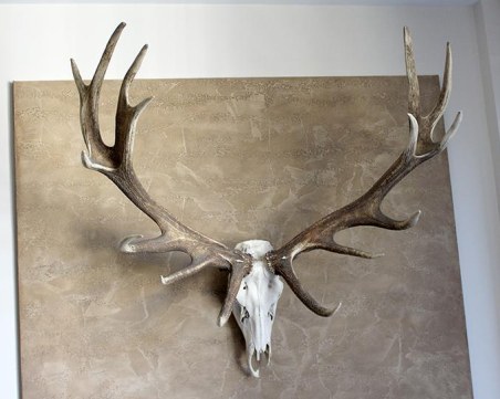 Карловски полицаи конфискуваха незаконни ловни трофеи