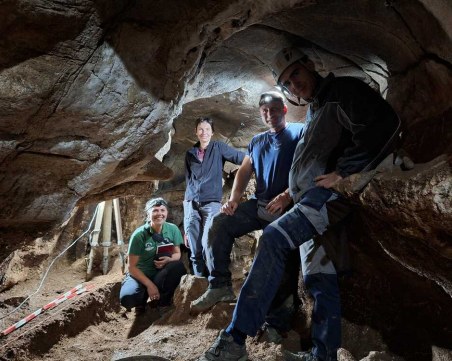 Откриха зъб от пещерен лъв при разкопки на пещерно обиталище „Чая