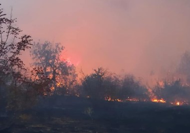 Група от доброволци от пернишкото село Расник начело с кмета