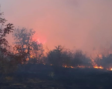 Доброволци разчистват останките от изгорелия параклис във Вискяр планина