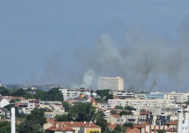 Овладян е пожарът който пламна в днешния следобед в района