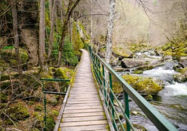 Пожарникари помогнаха на пострадала туристка на екопътека в местността Лъката