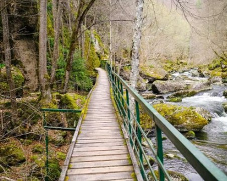 Пожарникари пренесоха туристка, пострадала на екопътека в Девин