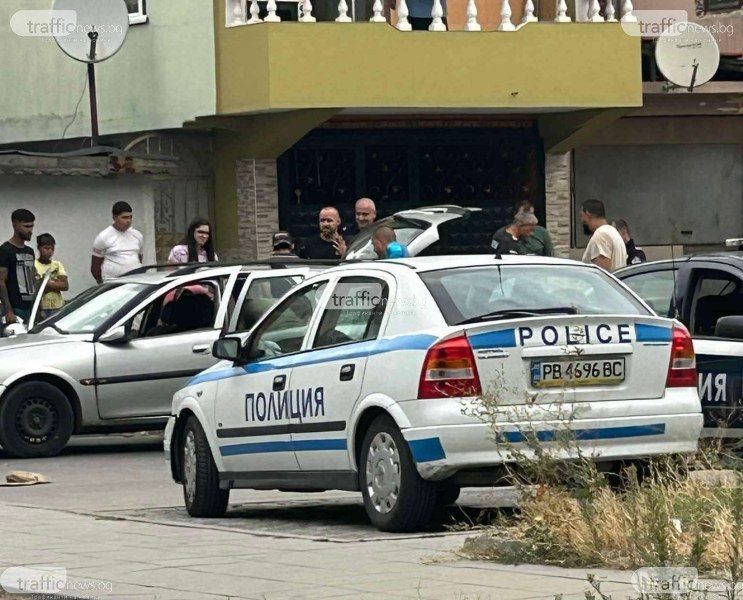 След акцията в Шекера: Полицията спипала дилър с бонзай