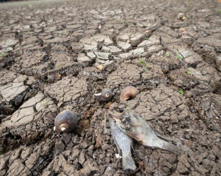 Сушата в Гърция разкри потънало село през 70-те години на XX век