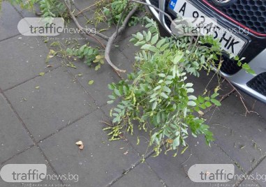 Клон се стовари на сантиметри от майка с количка сигнализира