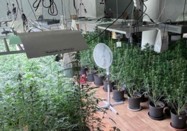 Солидно количество наркотици и отлично оборудвани домашни оранжерии за отглеждане