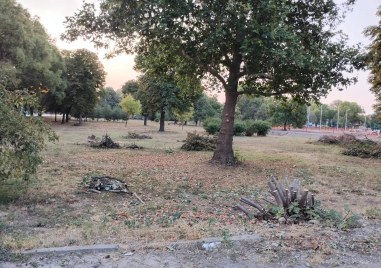 Сеч в парка на село Крумово възмути граждани За това
