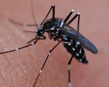 „Живея втори живот