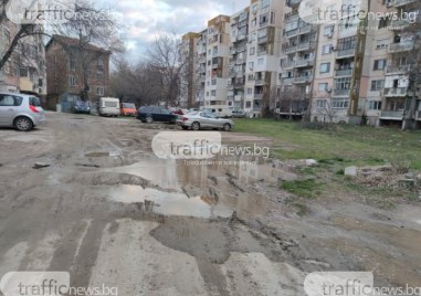 Община Пловдив смята да озелени и облагороди над 70 пространства