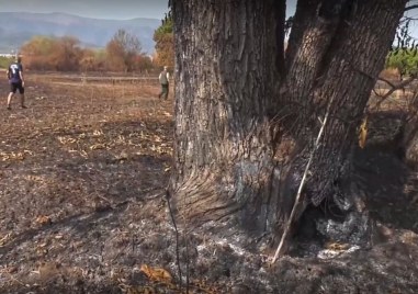 Доброволци и ловци се обединиха в една кауза след голям