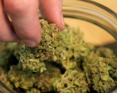 Над килограм марихуана е била намерена при акция в Карловско, има задържани