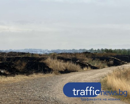 БАБХ след обгазяването: Връчено е предписание на собственика от Маноле, за да вземе мерки