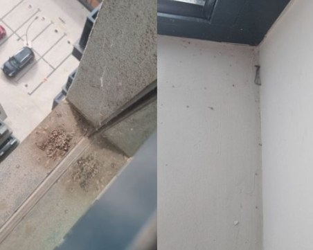 За 20 лева толкова! Луксозен жилищен комплекс в Пловдив тъне в прах и паяжини