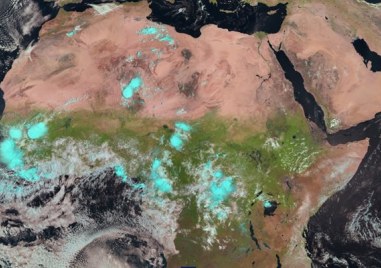 В пустинята Сахара няма много зеленина но след необичаен приток