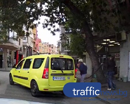 Клон се стовари върху пешеходка и автомобил в центъра на Пловдив