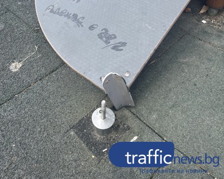 Увредена катерушка в Смирненски, кметицата на района: Заемам се веднага