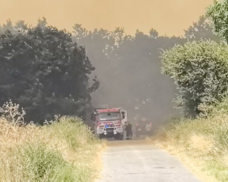 България не е подготвена за тежки бури и борба с горски пожари