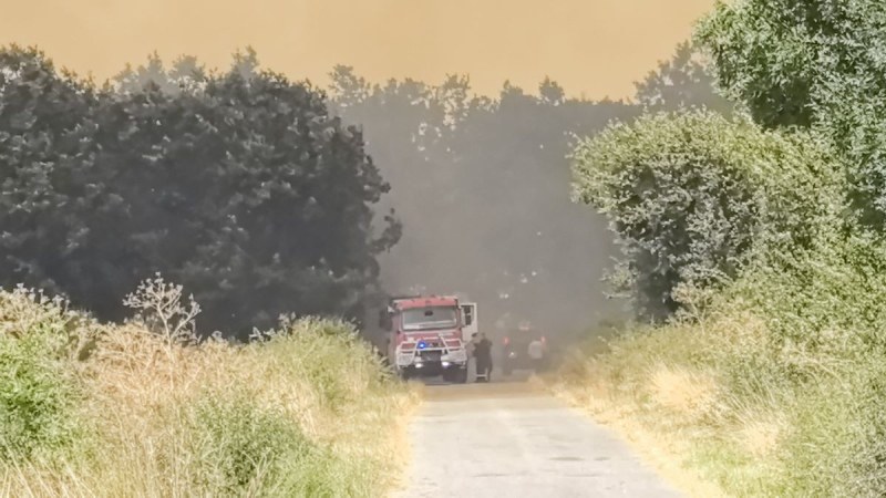 България не е подготвена за тежки бури и борба с горски пожари