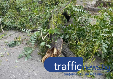 Огромен клон се стовари в Кючук Париж Инцидентът се е