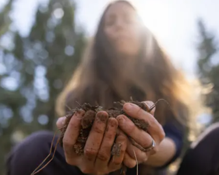 Eat Earth: Странна тенденция против стареене става вирусна в TikTok