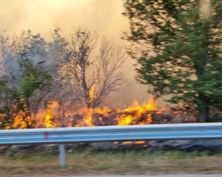 Голям пожар затвори пътя Русе - Бяла