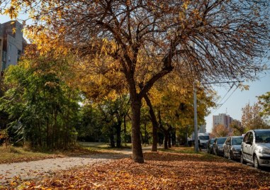 До почивните дни температурите ще бъдат с летни стойности и