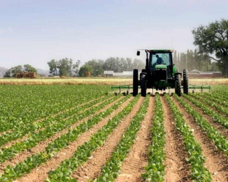 Мними земеделци от Хасковско опитаха да източат 150 000 лева от фондове