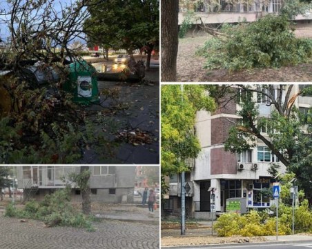 Пожарната в Пловдив накрак заради вятъра, строително скеле се стовари в центъра