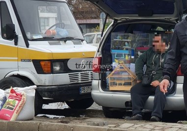 Мъж от Карлово получи присъда заради противозаконно държане на екземпляри