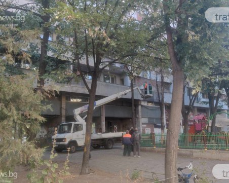 Дърво се стовари върху кола на Руския пазар, втори ден пожарната е на крак заради вятъра в Пловдив