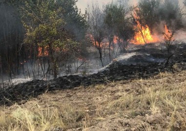 Пожар гори над асеновградското село Новаково Огънят е пламнал в