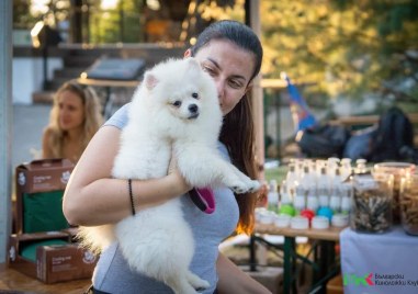 За поредна година Български киноложки клуб ще зарадва любителите на