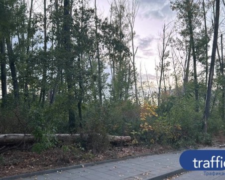 Кметството в 