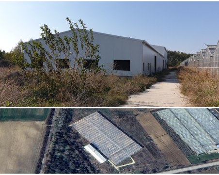 Неуспешни търгове при ЧСИ свалиха 3 пъти цената на огромна оранжерия и имот от 50 дка в Пловдив