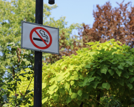 Водим в Европа по смъртност заради тютюнопушене, но повечето пловдивчани не искат рестриктивни мерки