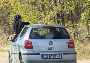 Диана Русинова публикува снимки в официалния си Facebook профил На