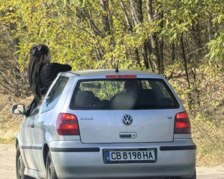 Диана Русинова: Тази госпожица има недостиг на сиво вещество