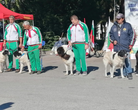 Екзотични животни и дефиле на породисти кучета радва пловдивчани в Панаира