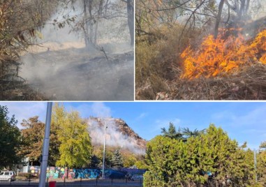 Пожар лумна на Младежкия хълм Гори растителност по южния склон