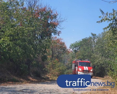 92 пожара в страната, двама души са пострадали