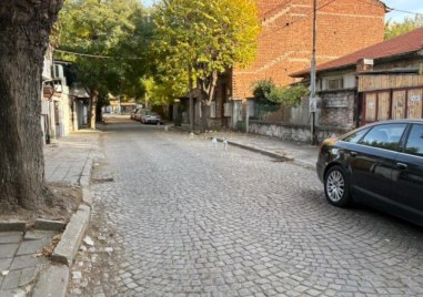 Пластмасови туби превзеха улица в Пловдив На гледката се натъкнал