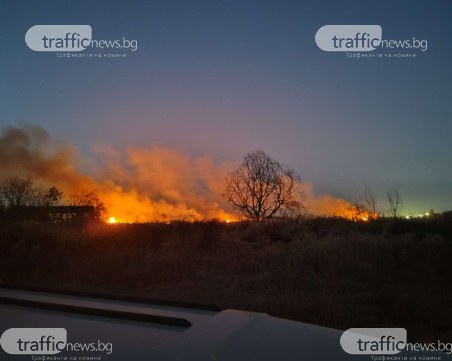 Арестуваха свинар за пожара в Катуница