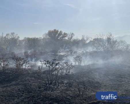 Въздухът в Пловдив се изчиства след пожара край Катуница, но ситуация все още не е овладяна